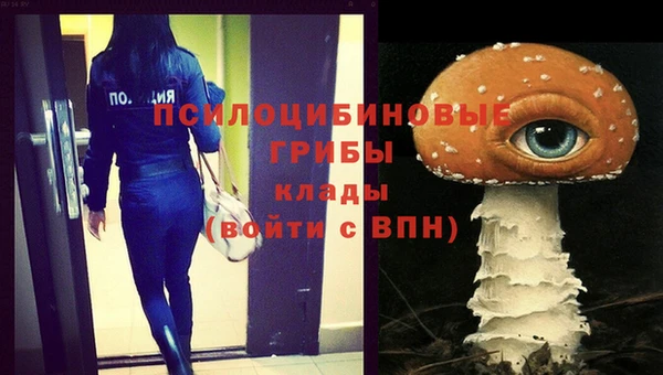 спиды Алзамай