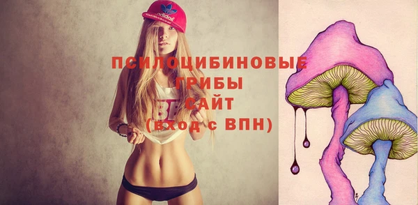 МДПВ Алексин