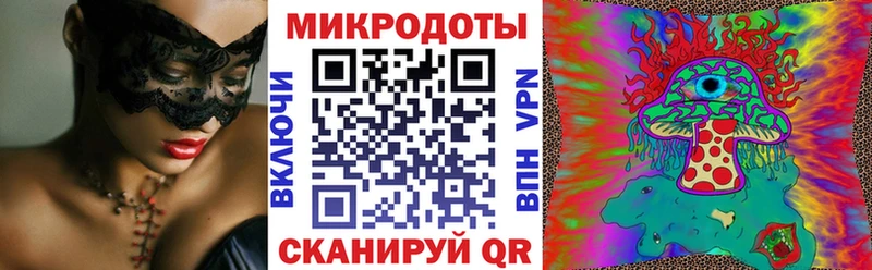 Галлюциногенные грибы Psilocybe  купить наркоту  Боготол 